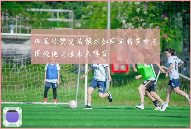 弗莱称赞克尼佩尔如同老将黄蜂可围绕他打造未来阵容