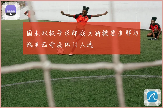 国米积极寻求即战力新援恩多耶与佩里西奇成热门人选