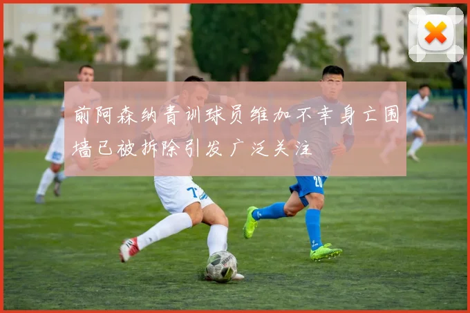 前阿森纳青训球员维加不幸身亡围墙已被拆除引发广泛关注